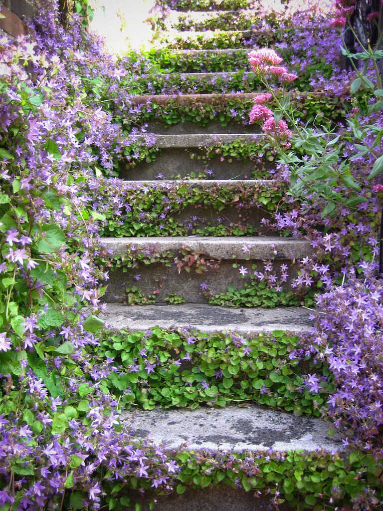 45+ Blooming Cottage Style Garden Ideas for a Charming Outdoor Space