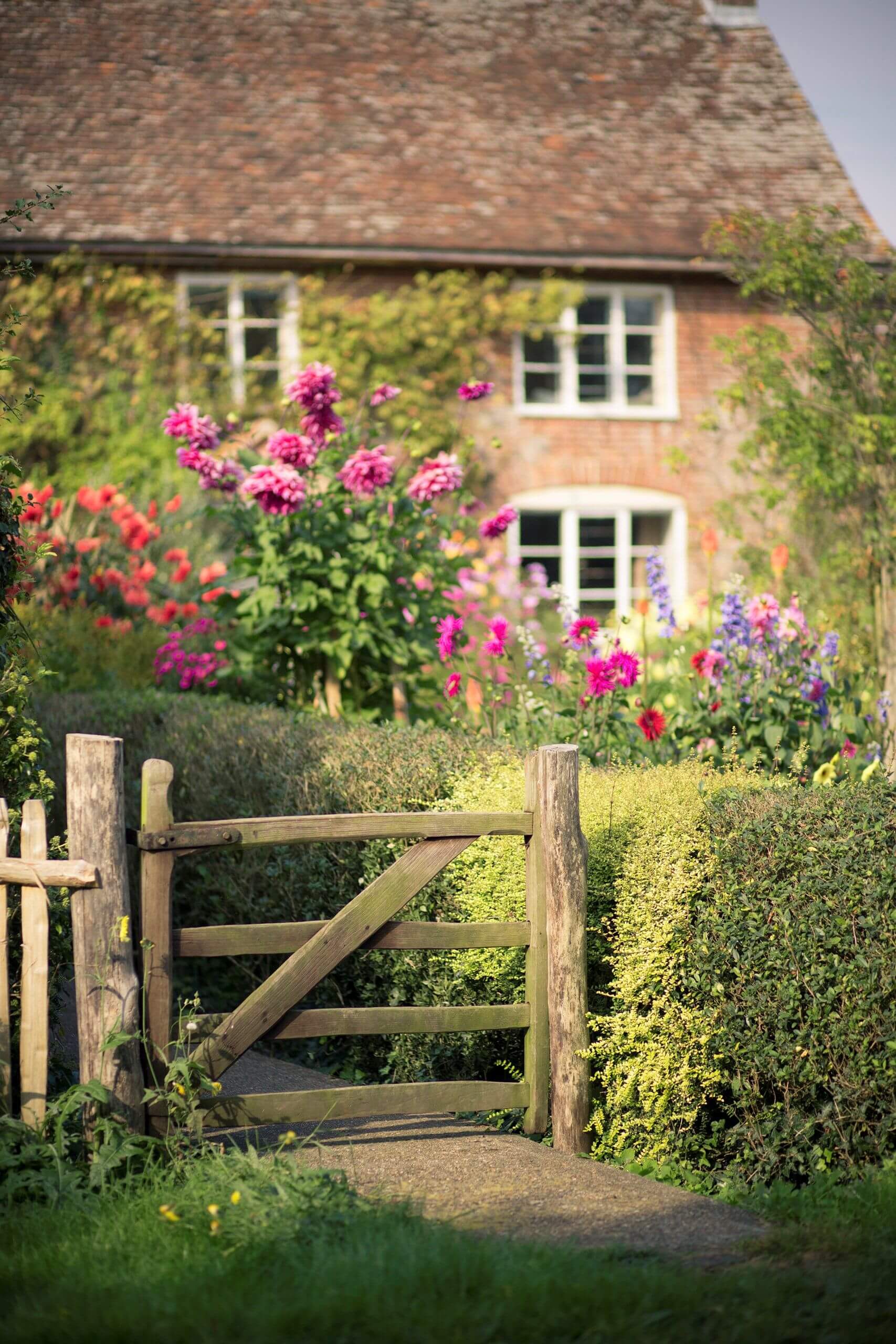 45+ Blooming Cottage Style Garden Ideas for a Charming Outdoor Space