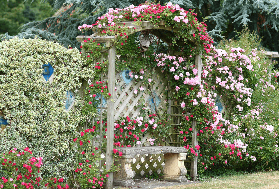 45+ Blooming Cottage Style Garden Ideas for a Charming Outdoor Space