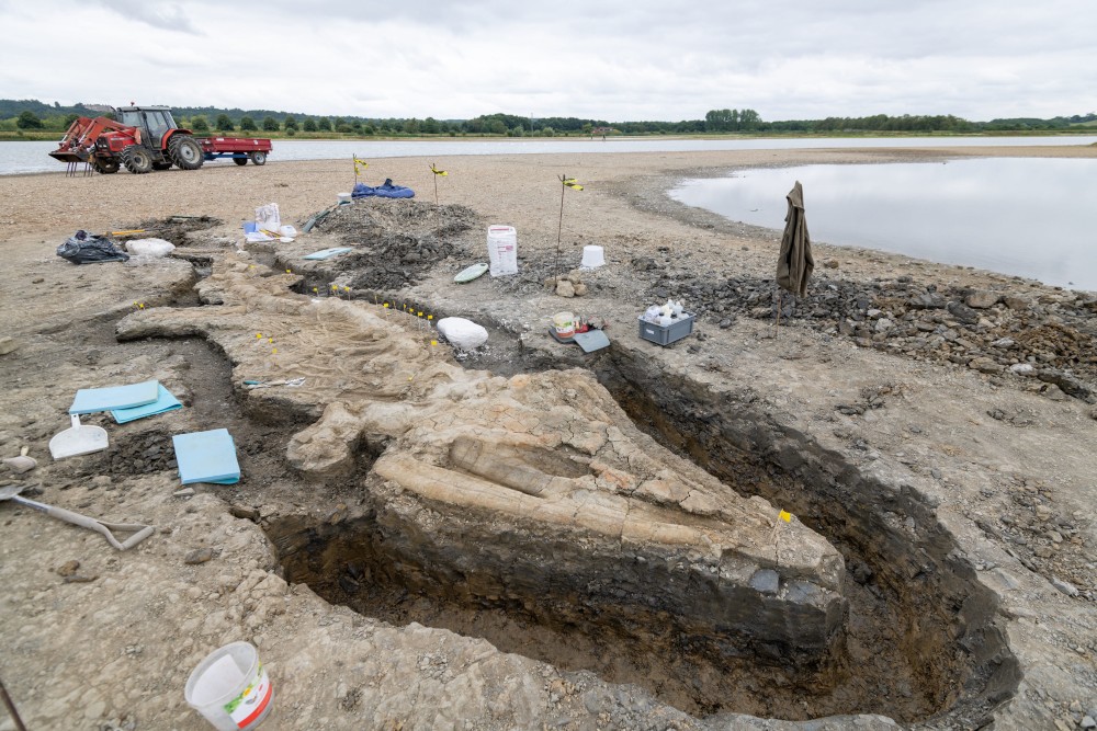 180-Million-Year-Old Sea Dragon Fossil Is Largest and Most Complete Ever Found in UK