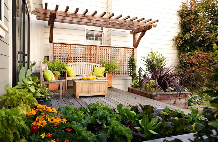 22 Pretty Pergola Ideas to Update Your Outdoor Space