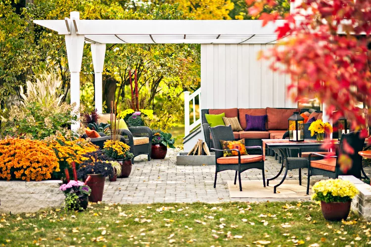 22 Pretty Pergola Ideas to Update Your Outdoor Space