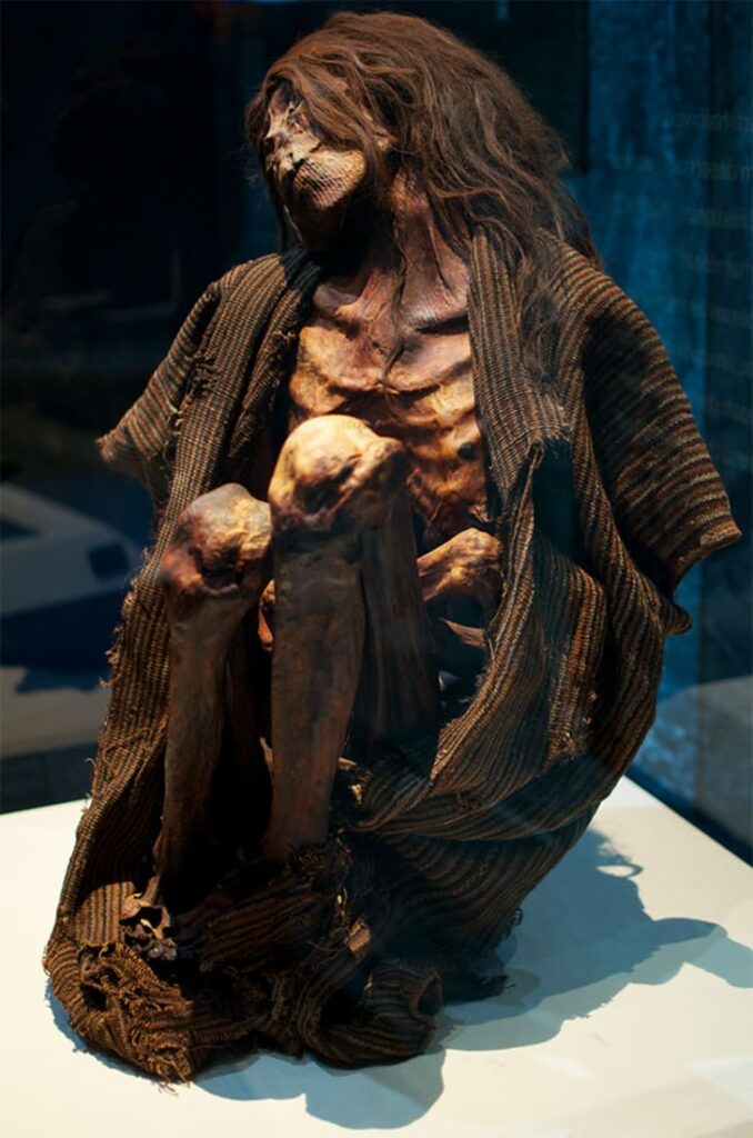 “The female mummy of the Lippisches Landesmuseum Detmold ” The mummy is not just pharaohs wrapped in bad bandages.