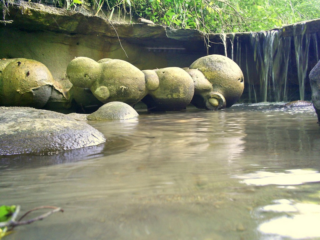 "Wonders of Nature: Uncovering the Astonishing Abilities of Mysterious Stones Discovered in Romania" - Bumkeo