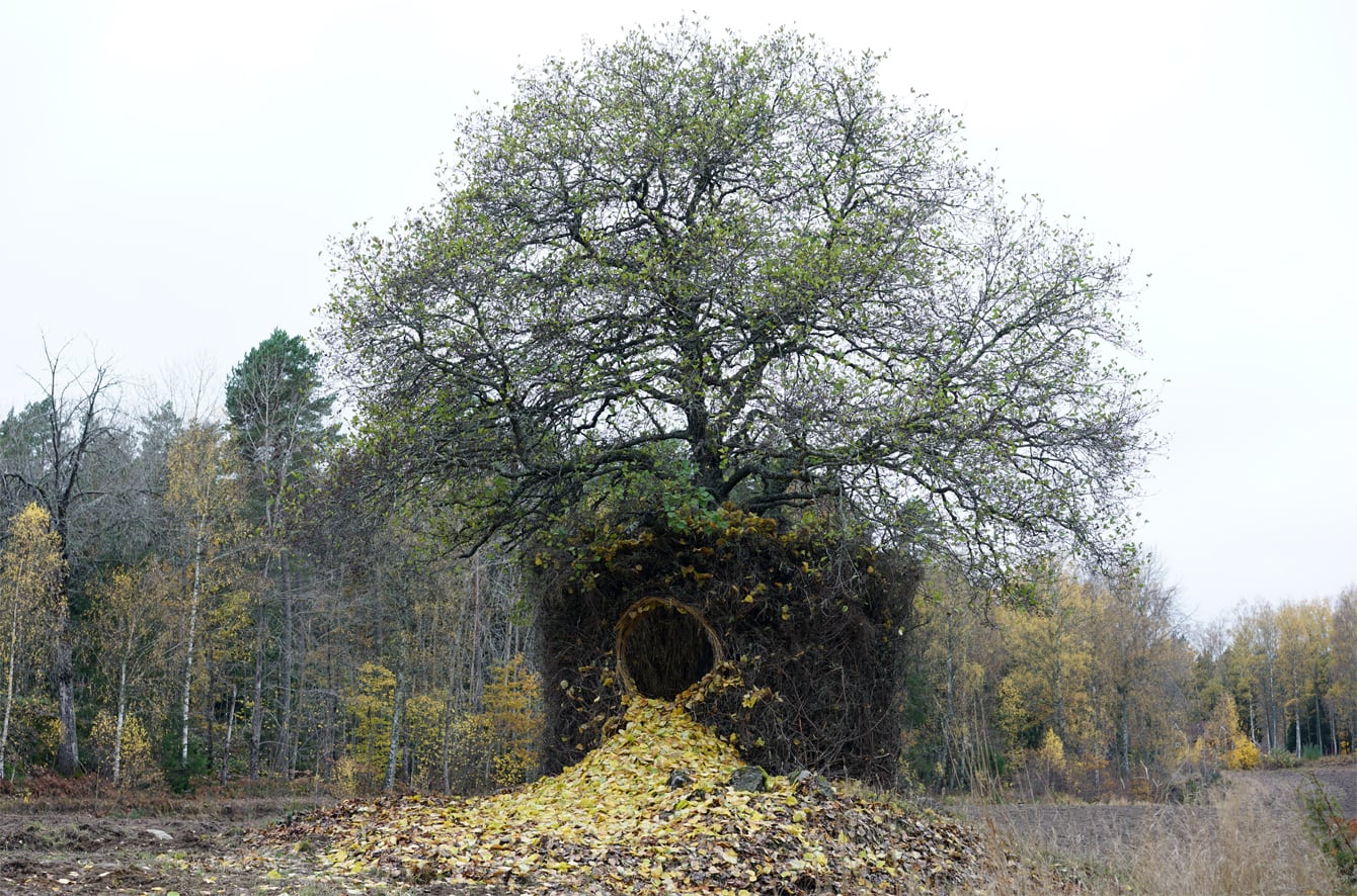 Use scraps of wood to weave a structure around a tree, building a cozy hideout amid the thaw spring landscape. - Canavi