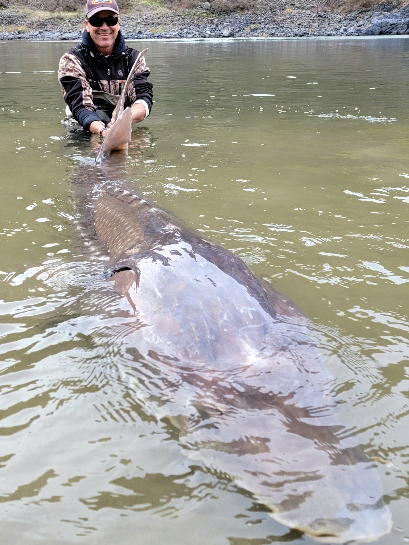 125-Year-Old Lake Sturgeon is Believed to Be The Largest Ever Caught in the U.S. and The Oldest Freshwater Fish Ever Caught in the World