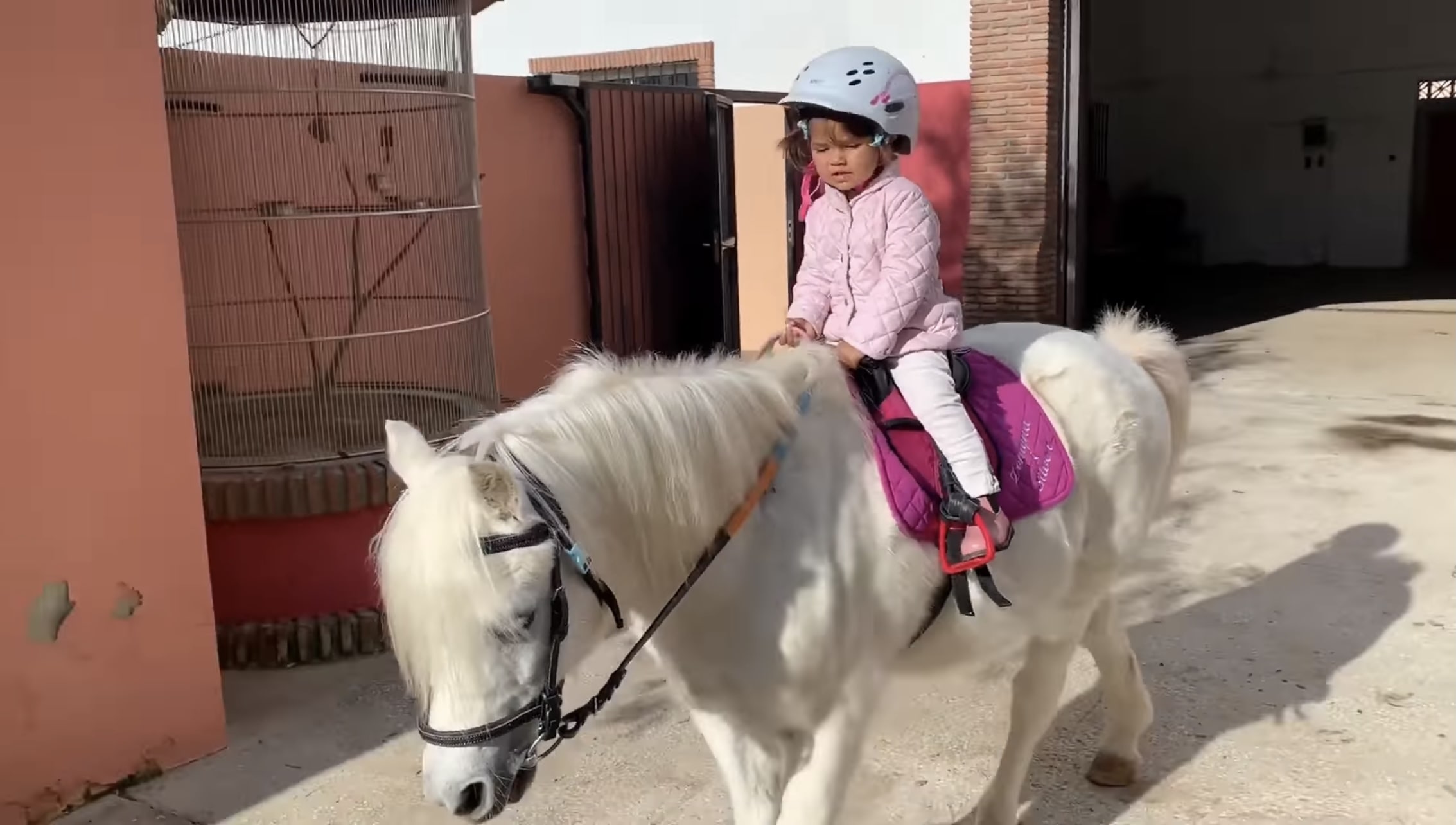 Heartwarming Harmony: The Enchanting Bond Between a Young Girl and Her Magical Pony (Video)