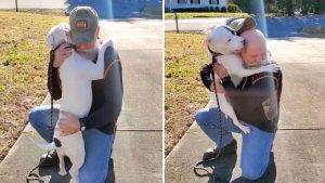 The shelter dog meets his new family and joyfully runs towards them, giving hugs affectionately. - Puppies Love