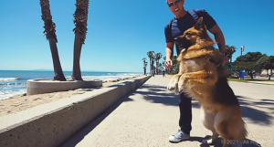 Dog Who Spent Years Chained Up Sees Ocean First Time