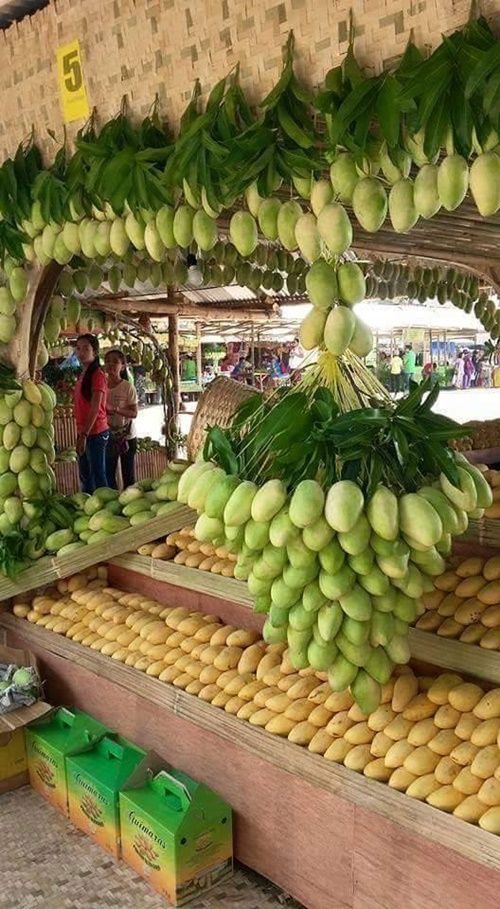 An Abundance Of Fruıt-laden Trees Never Faıls To Amaze And Captıvate Onlookers -