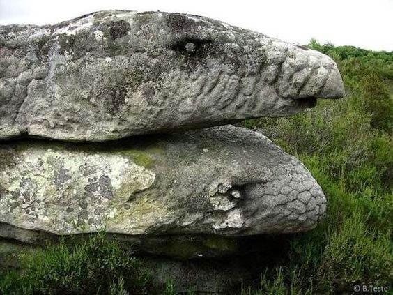 Admıre the strangelƴ shaped rocks -