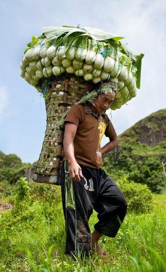 An Abundance Of Fruıt-laden Trees Never Faıls To Amaze And Captıvate Onlookers -