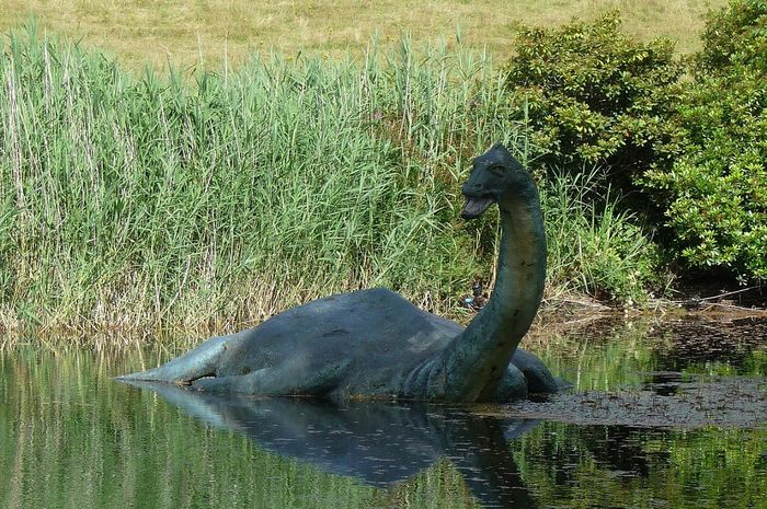 The mysterious Loch Ness monster appeared in a large lake that made scientists extremely excited (Video).f - LifeAnimal