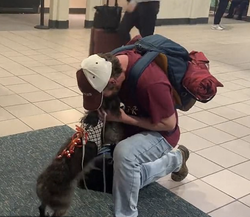 Florida man joyfully reunites with dog lost in California 7 months ago, a heartwarming tale of hope. – newsvaults.com