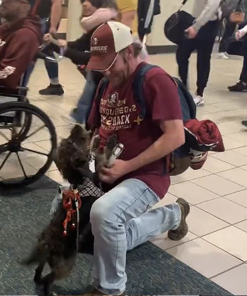 Florida man joyfully reunites with dog lost in California 7 months ago, a heartwarming tale of hope. – newsvaults.com