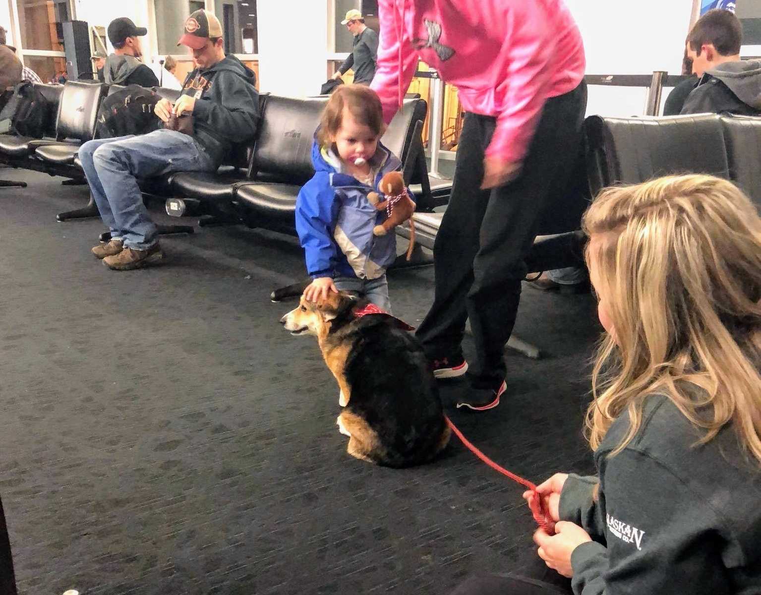 A compassionate dog at the airport senses a distraught man's distress and offers solace. The dog's empathy and kindness are a reminder that even in the darkest of times, there is always hope. - Lillise