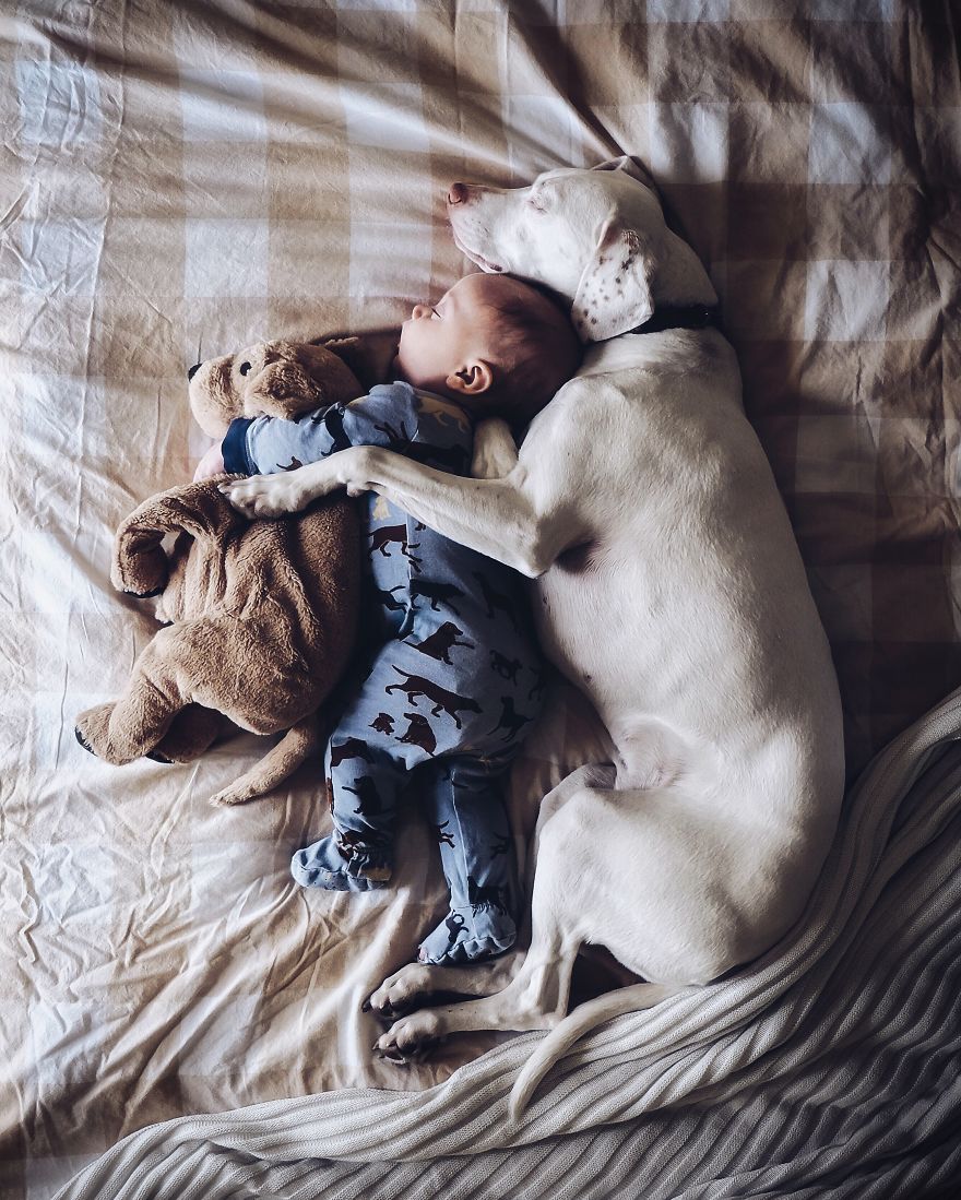 Rescued, a puppy transforms into the perfect slumber companion for an 8-month-old baby, fostering an endearing bond brimming with trust and warmth. - Lillise