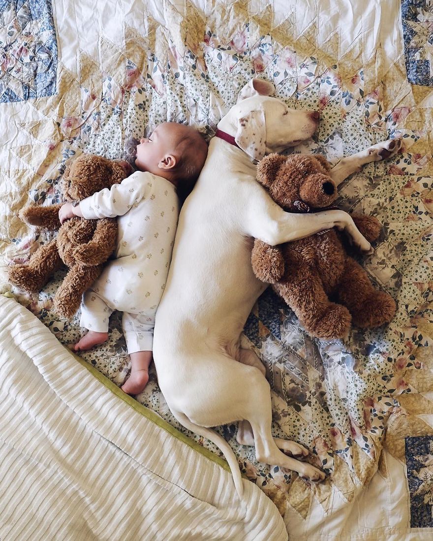 Rescued, a puppy transforms into the perfect slumber companion for an 8-month-old baby, fostering an endearing bond brimming with trust and warmth. - Lillise