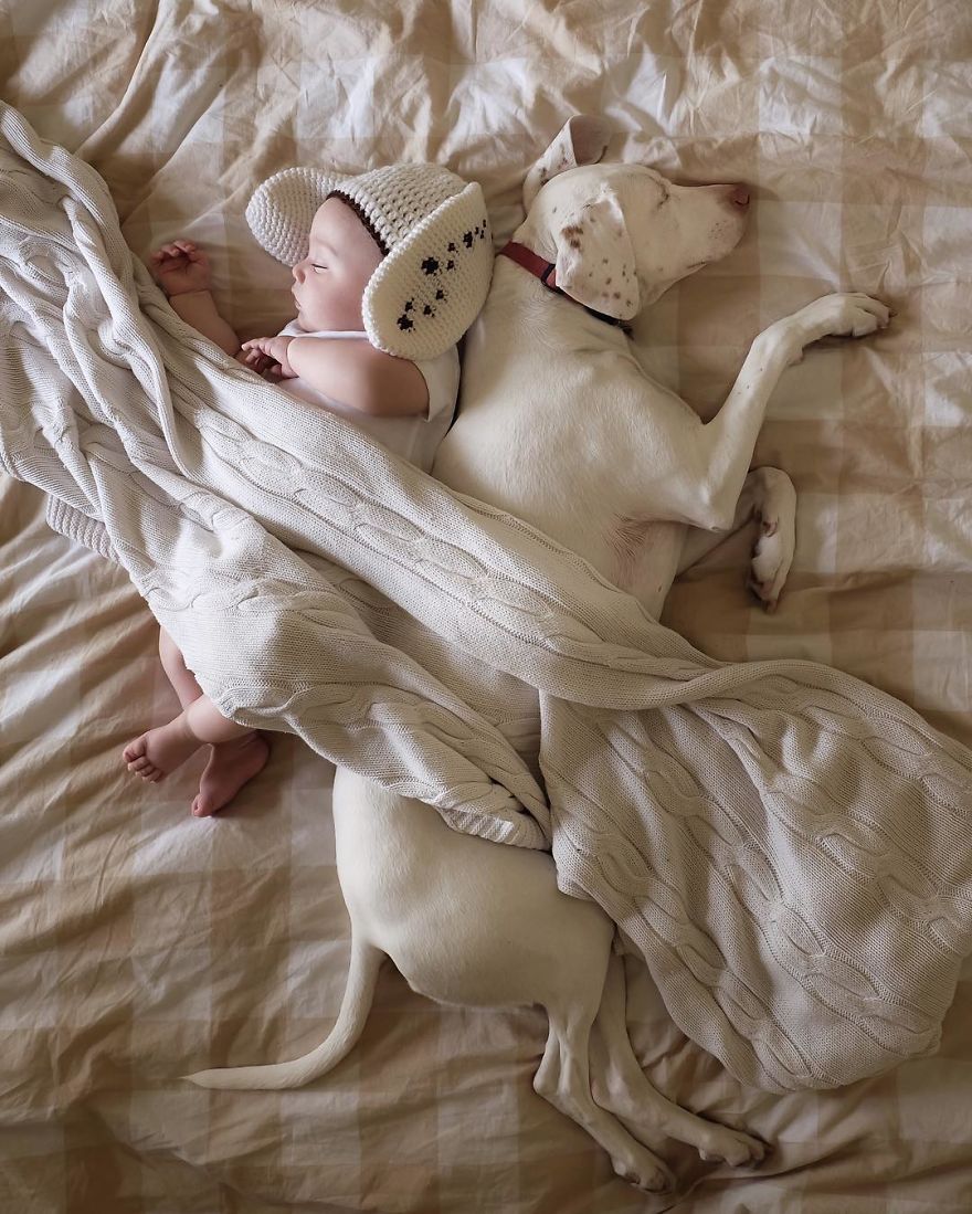 Rescued, a puppy transforms into the perfect slumber companion for an 8-month-old baby, fostering an endearing bond brimming with trust and warmth. - Lillise