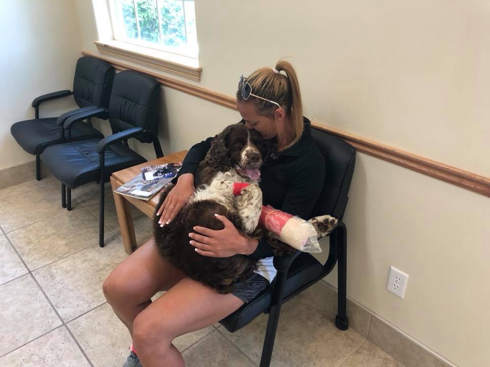 A woman shows incredible strength and compassion by carrying a 55-pound injured dog on her shoulders down a mountain for six hours, demonstrating the lengths we will go for animals in need. - Lillise