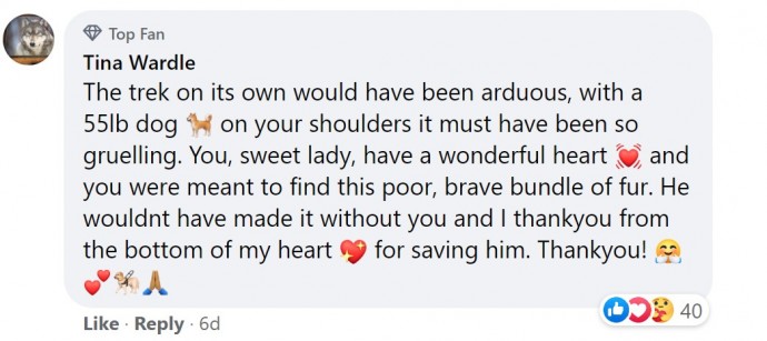 A woman shows incredible strength and compassion by carrying a 55-pound injured dog on her shoulders down a mountain for six hours, demonstrating the lengths we will go for animals in need. - Lillise
