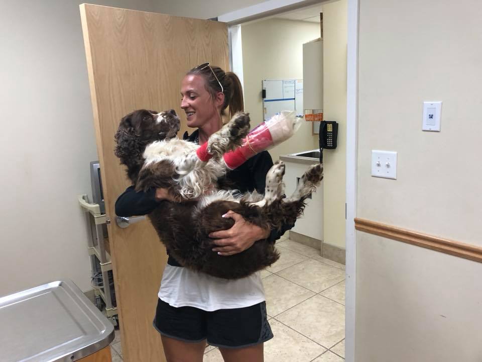 A woman shows incredible strength and compassion by carrying a 55-pound injured dog on her shoulders down a mountain for six hours, demonstrating the lengths we will go for animals in need. - Lillise