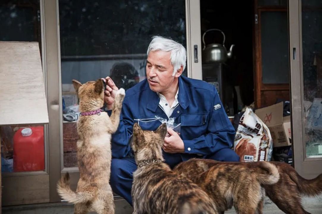 A man is caring for animals that were left behind at Fukushima over a decade ago