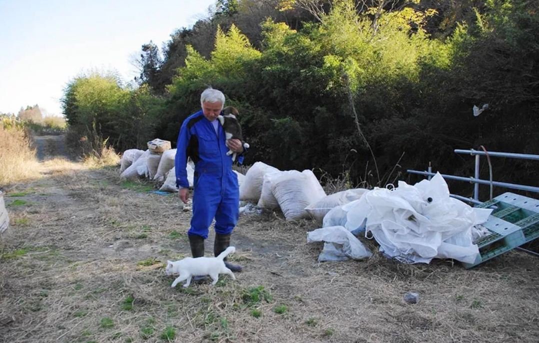 A man is caring for animals that were left behind at Fukushima over a decade ago