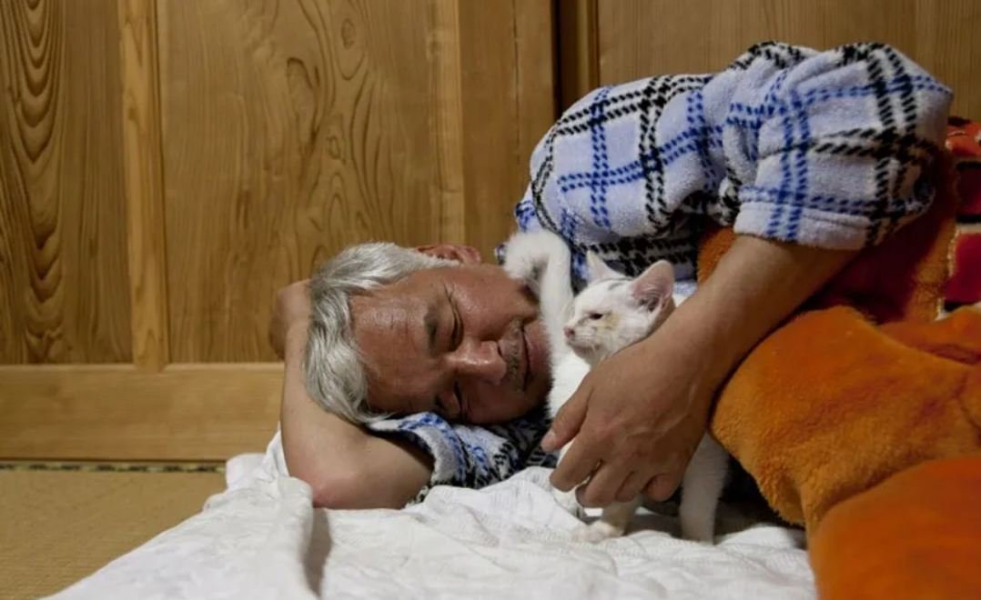 A man is caring for animals that were left behind at Fukushima over a decade ago