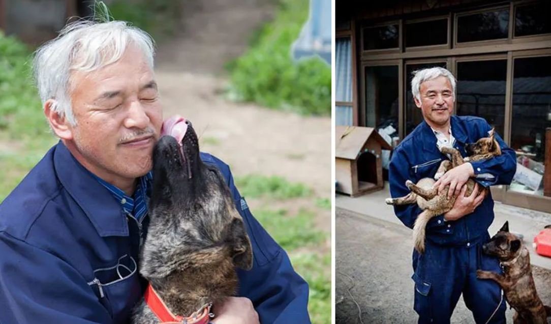 A man is caring for animals that were left behind at Fukushima over a decade ago