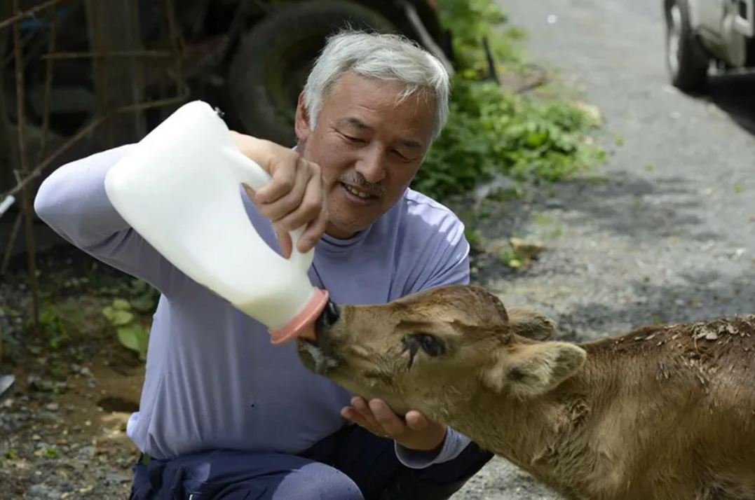 A man is caring for animals that were left behind at Fukushima over a decade ago