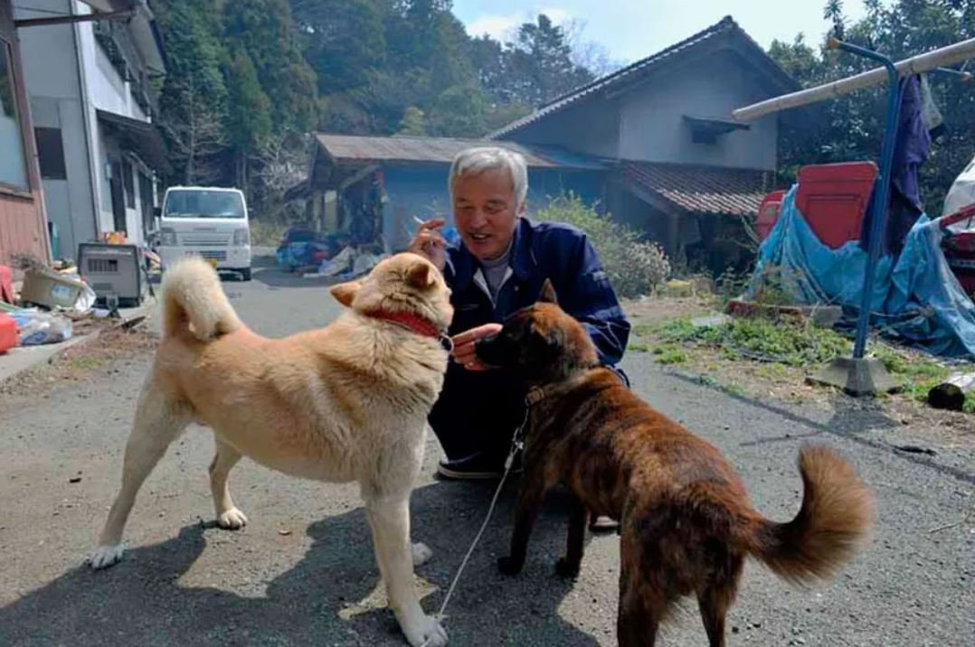 A man is caring for animals that were left behind at Fukushima over a decade ago