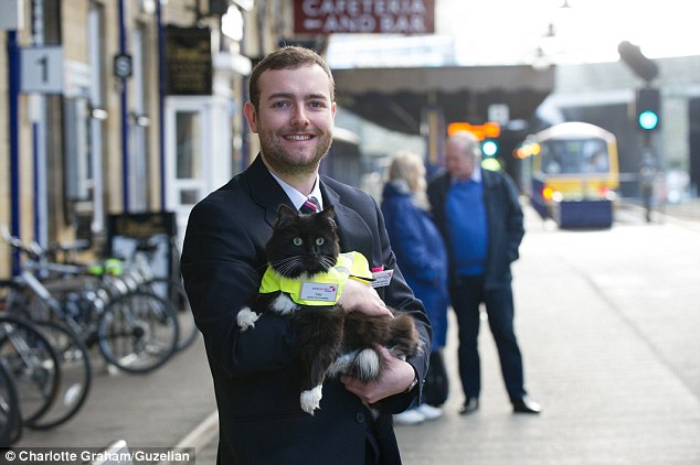 The feline enforcer! Huddersfield train station’s patrolling moggie Felix is promoted to Senior Pest Controller, complete with a new uniform and badge. – The News Volcano