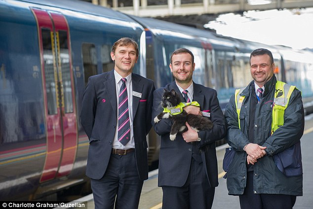 The feline enforcer! Huddersfield train station’s patrolling moggie Felix is promoted to Senior Pest Controller, complete with a new uniform and badge. – The News Volcano