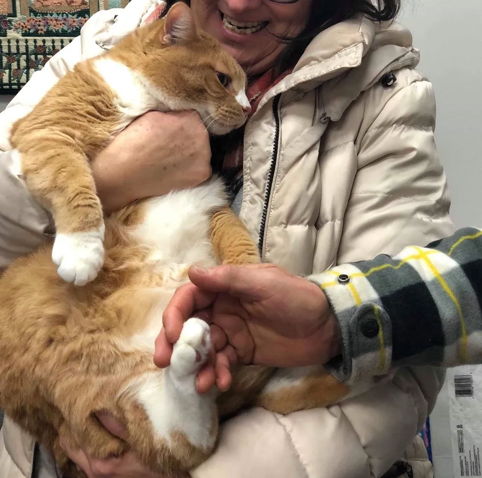 A rejected lap cat finds a loving family who adores and cherishes his cuddly nature. – ourplanet24.com