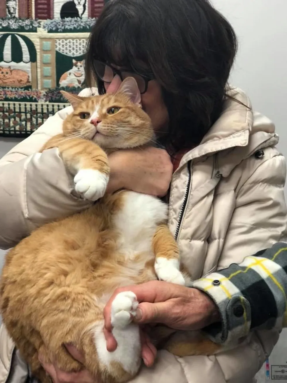 A rejected lap cat finds a loving family who adores and cherishes his cuddly nature. – ourplanet24.com