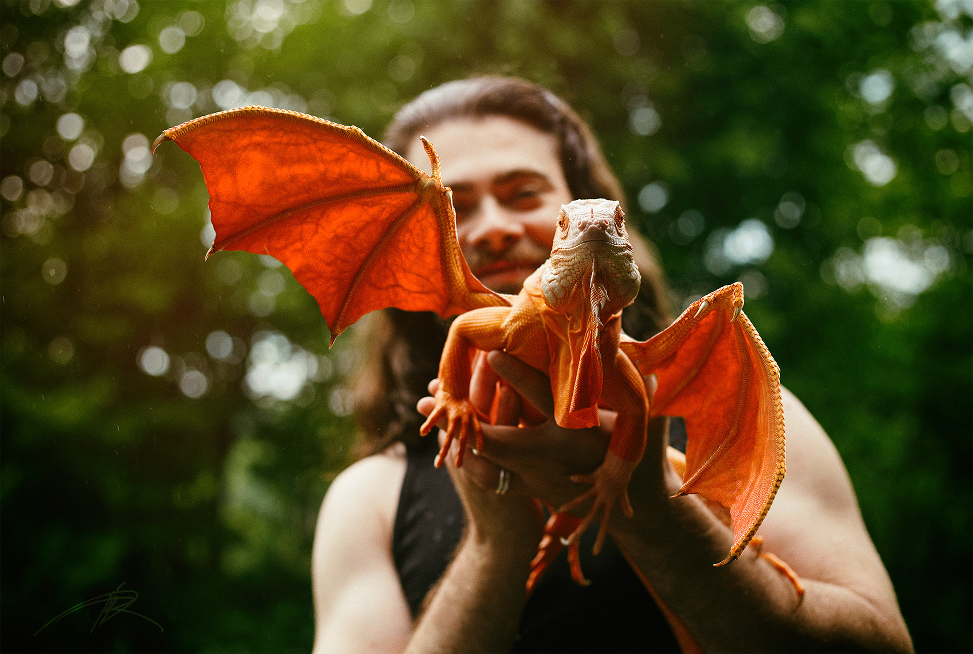 Extraordinary Tale: Man Raises and Cares for Super Rare Albino Orange Dragon. l - LifeAnimal