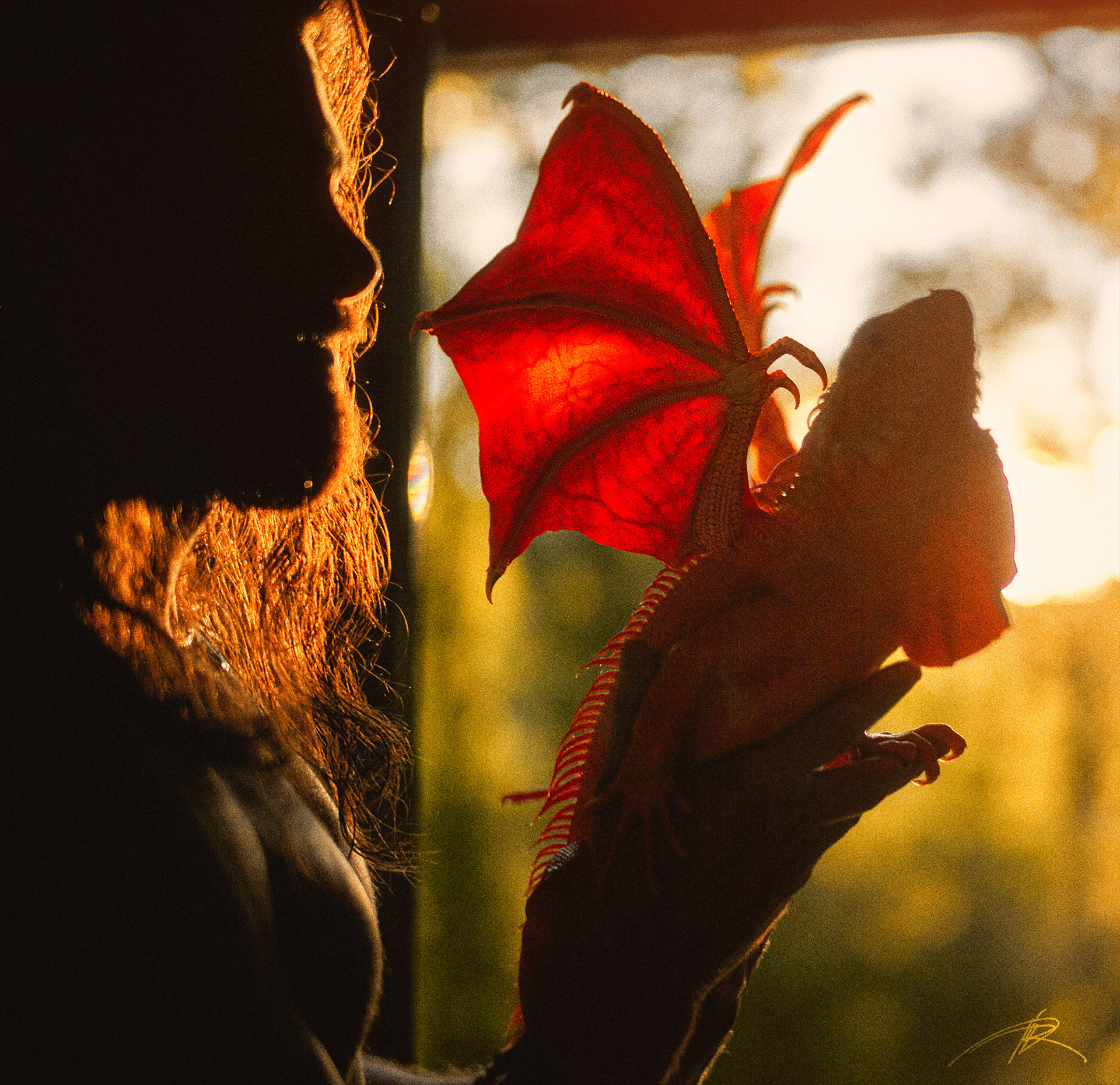 Extraordinary Tale: Man Raises and Cares for Super Rare Albino Orange Dragon. l - LifeAnimal