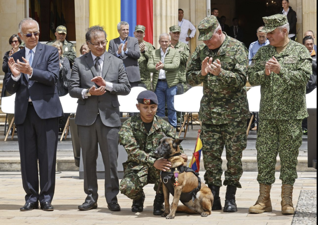 The intensive search for Wilson, the rescue dog, ends joyfully. Salute to this brave canine! – newsvaults.com