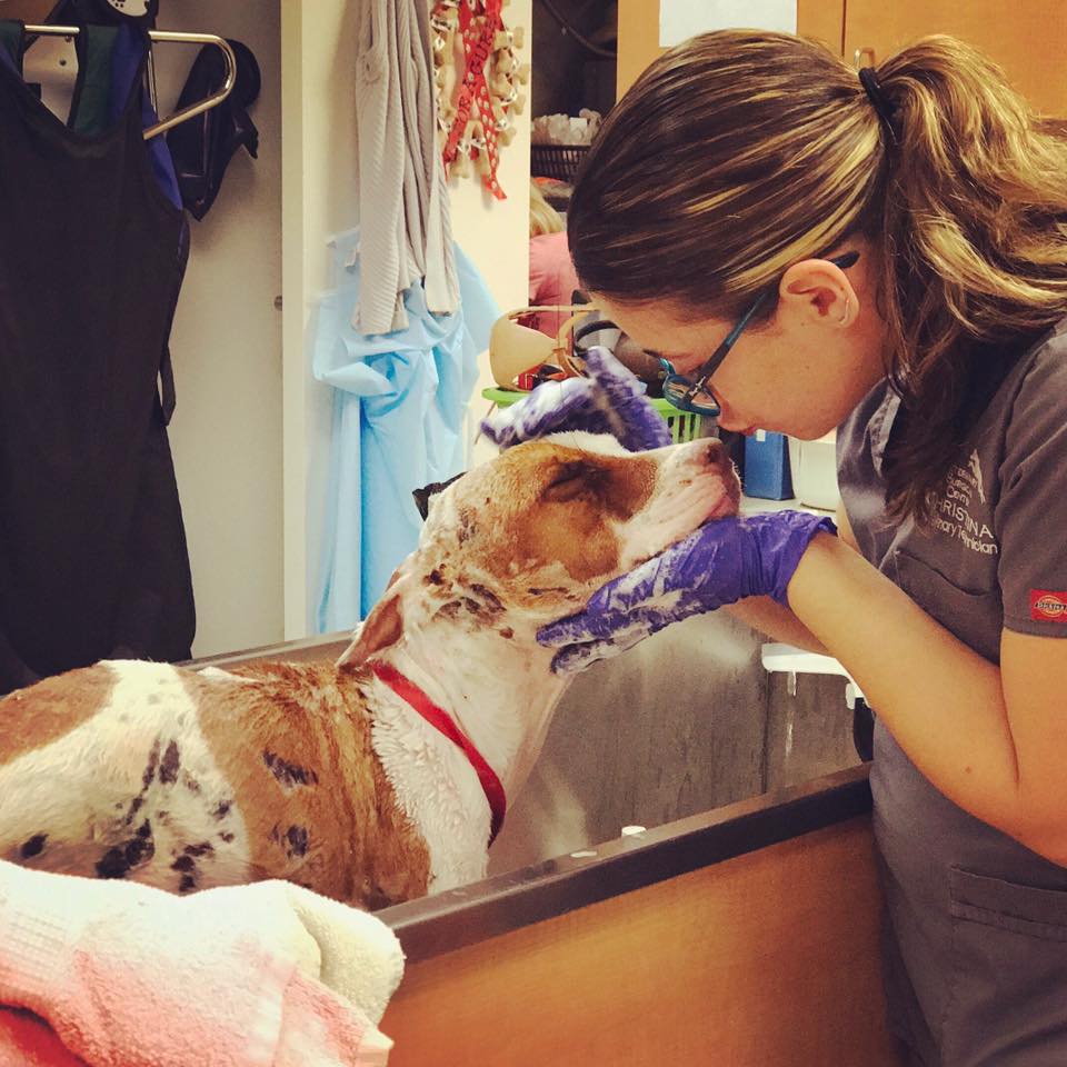 A dog rescued from life-threatening burns becomes overwhelmed with emotions upon seeing the veterinarian again. - Puppies Love