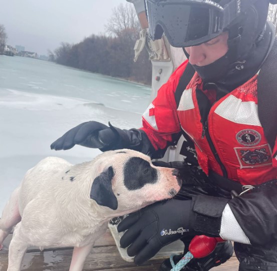 A Coast Guard crew comes to the rescue of a "grateful" dog trapped in icy waters, showcasing the lifesaving efforts and the bond between humans and animals. - Puppies Love