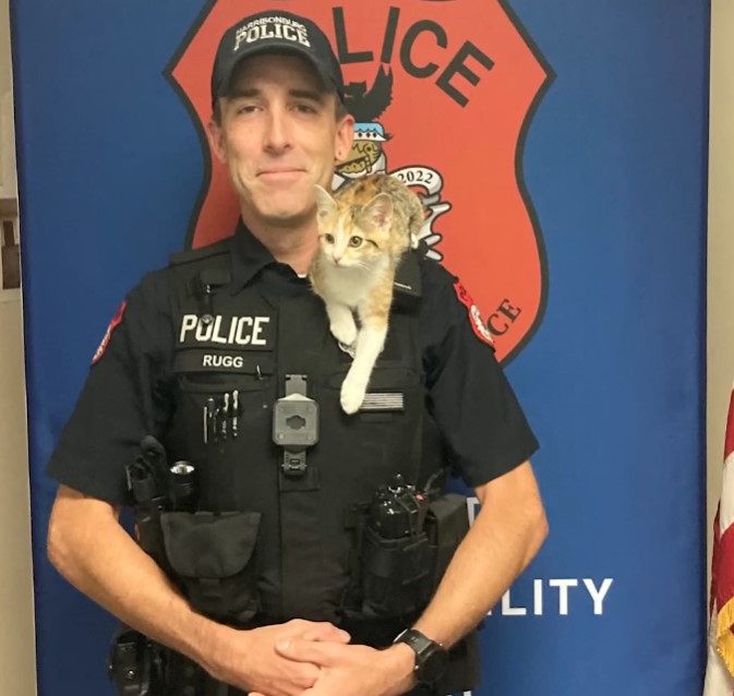 The police adopted the poor cat that was thrown from the window, the cat always clings to his shoulder and stays with him at all times to show his gratitude and love