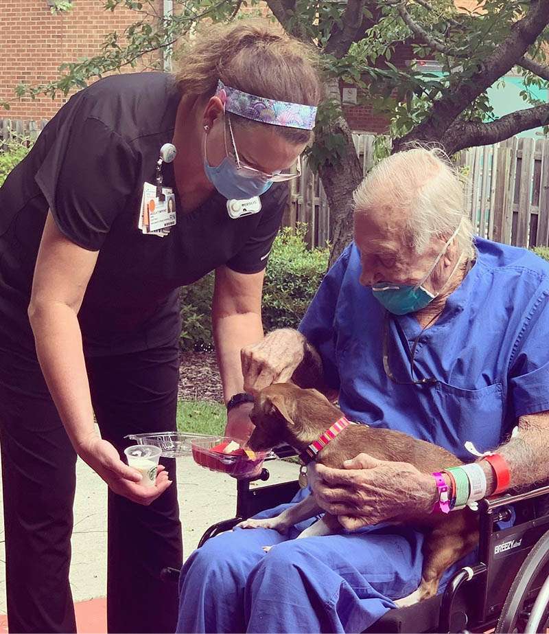 The Chihuahua finally reunites with his dad after saving his life, a heartwarming story of courage and a bond that knows no distance. – Puppies Love