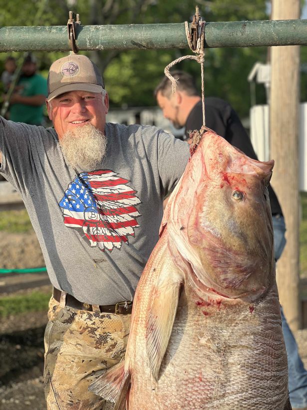 Angler snares 'alien fish' with 11million eggs inside ready to unleash 'catastrophe'