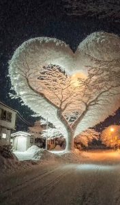 The Romantic Tree: A Symbol of Love Beneath a Snowy Sky