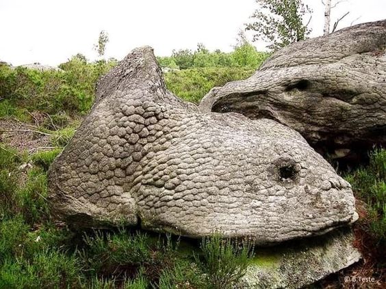 Admıre the strangelƴ shaped rocks -