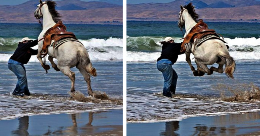 Embracing the Enduring Bond Between Horse and Owner in a Captivating Beach Photoshoot That Will Stir Your Heart (Video)