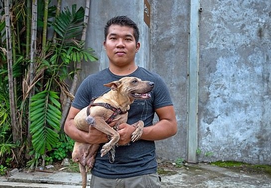 Dog Born Without Back Legs Learns to Balance on Front Legs with Loving Owner’s Assistance. – Puppies Love