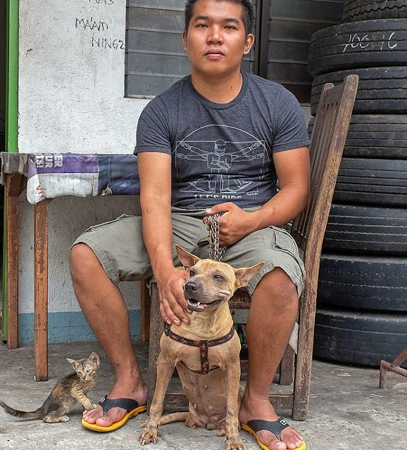 Dog Born Without Back Legs Learns to Balance on Front Legs with Loving Owner’s Assistance. – Puppies Love