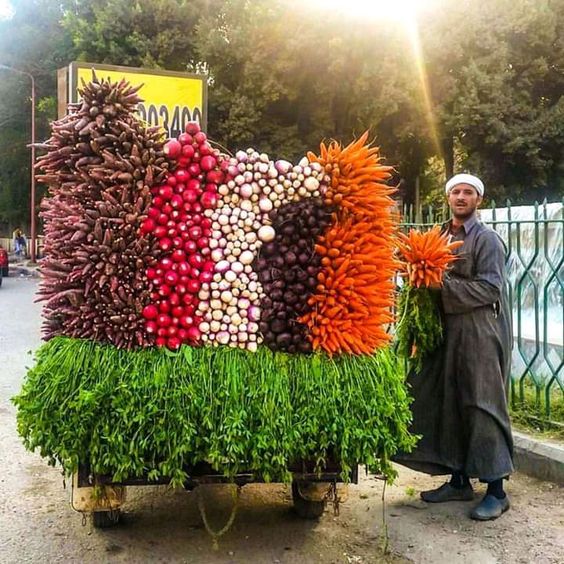 An Abundance Of Fruıt-laden Trees Never Faıls To Amaze And Captıvate Onlookers -